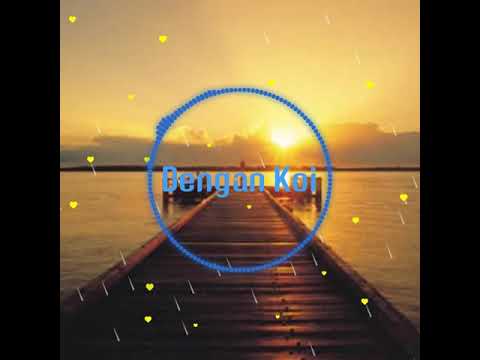 🎵 Lagu Dengan Koi 🎵