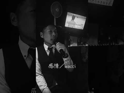 「感情」／wacci
