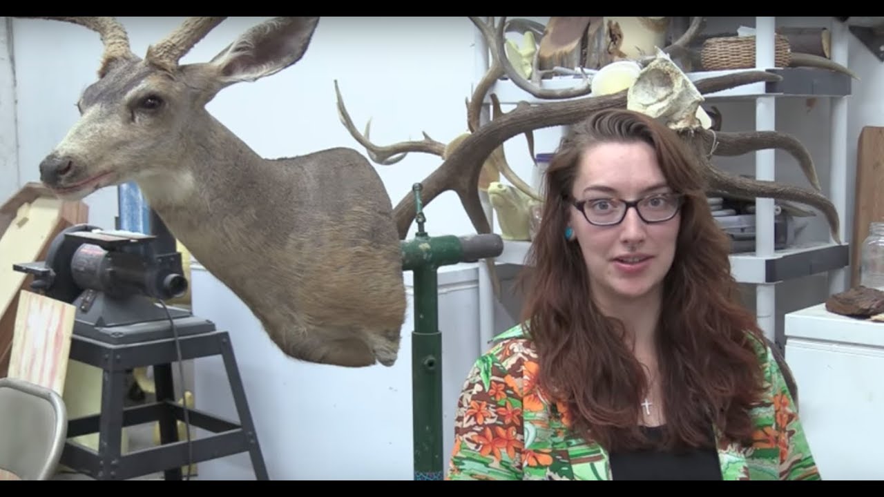 lds ward finder Utahns in Old Professions: Taxidermist