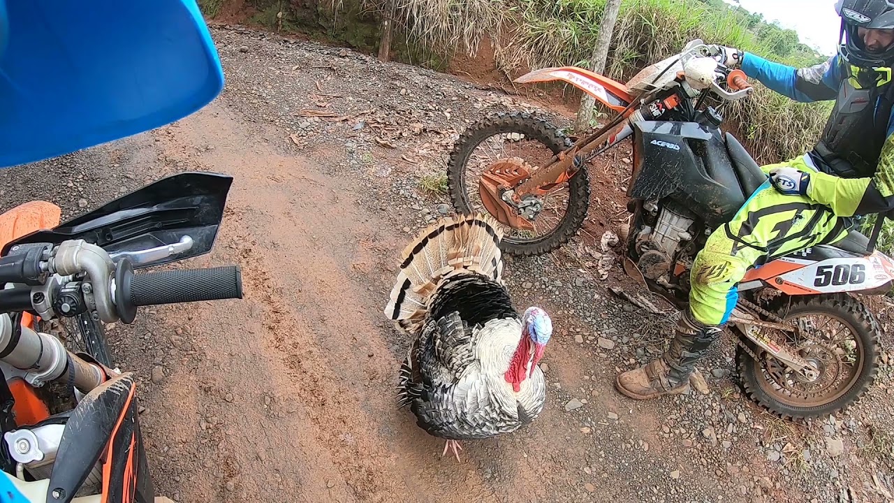 The Ultimate Bachelor Party - Ultimate Rides Costa Rica