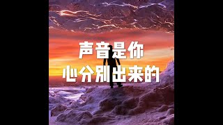 201511 声音是你心分别出来的21416