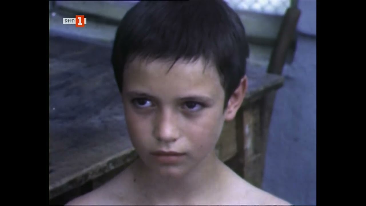 Трийсет и един чифта волове (1976)