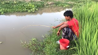 Best Hook Fishing Video 2021 I Traditional Hook Fishing in Village Smart By Fishing With Hook