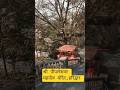 श्री  पीपलेशवर महादेव मंदिर,(729) हरिद्वार #haridwar #hindupilgrimage #uttrakand #shiv #mahadev