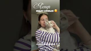 Находимся в Польше, это будет ваш лучший друг ❤️ #девонрекс#devonrex
