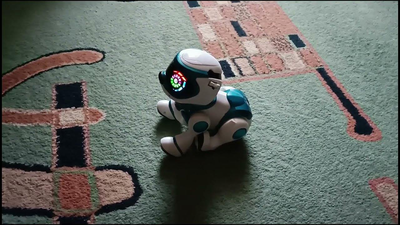 Что может собака робот Teksta ! What can a robot dog do Teksta ! # ...