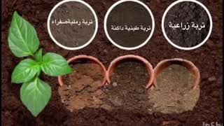 أنواع التربة (تعليمي للاطفال)