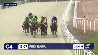 Vidéo de la course PMU PRIX HAIKU