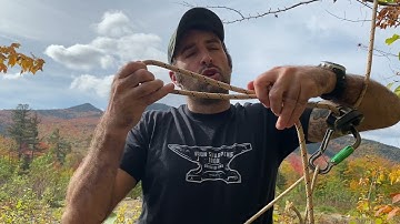 Saddle Hunters! Back up your device!