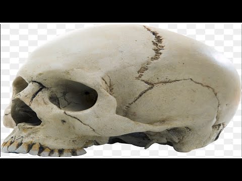 💀