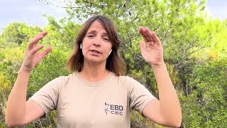 The Doñana region Case Study