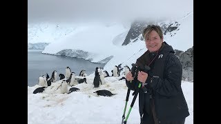 Is Hurtigruten the Right Antarctica Cruise For YOU?