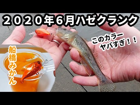 ハゼ釣り 年6月ハゼクラ開始 今期はこのカラーがヤバい ハゼクラピー 船橋ミカン Youtube ハゼ釣り 年6月ハゼクラ開始 今期はこのカラーがヤバい ハゼクラピー 船橋ミカン Youtube