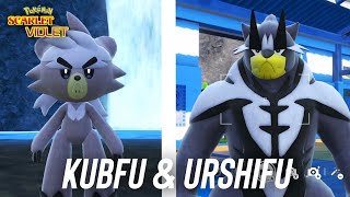 How to get Kubfu & Urshifu in Pokemon Scarlet & Violet!