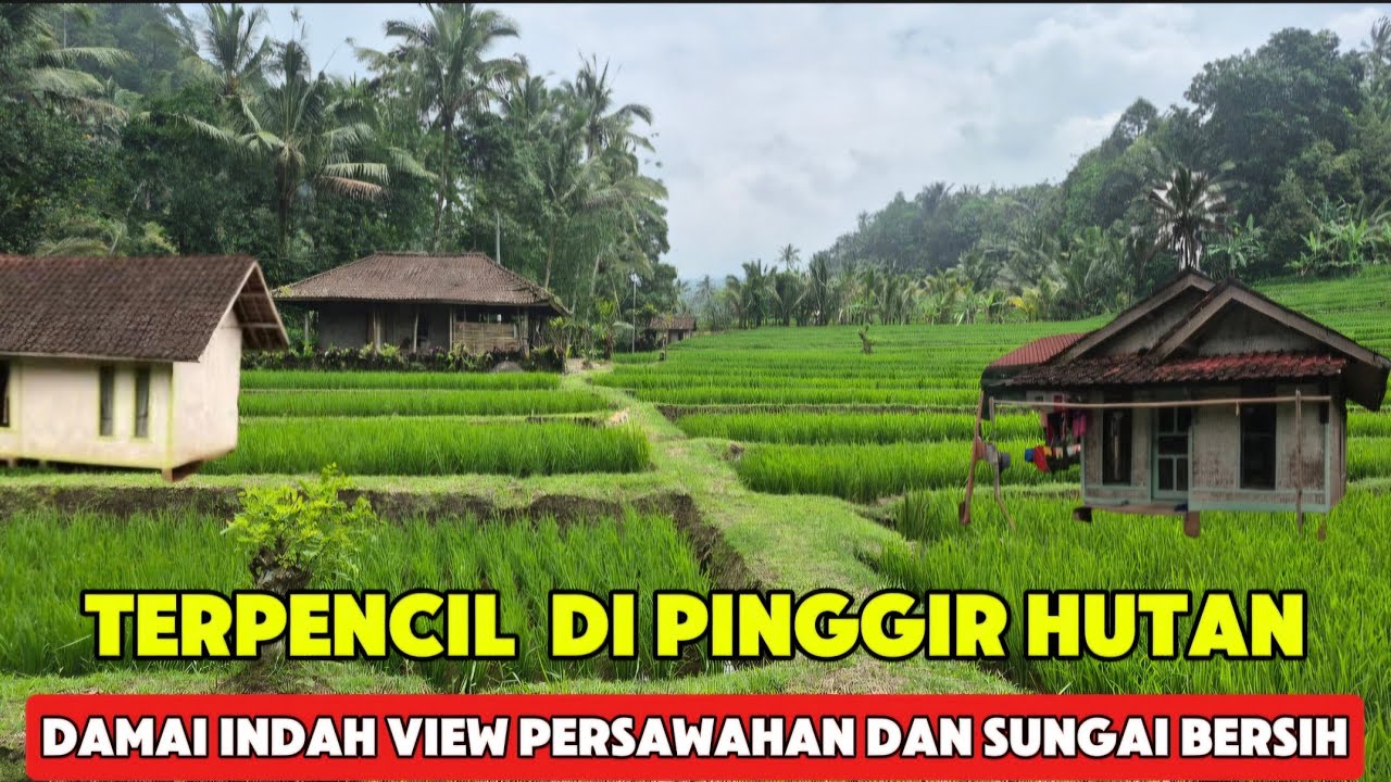 DESA TERPENCIL YANG INDAH DI PINGGIR HUTAN DENGAN VIEW SUNGAI DAN PERSAWAHAN