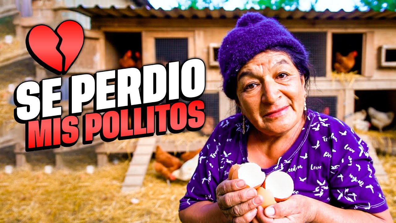 EN BUSCA DE MI GALLINA | Señora Marianita