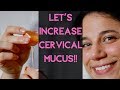 How To Increase Cervical Mucus