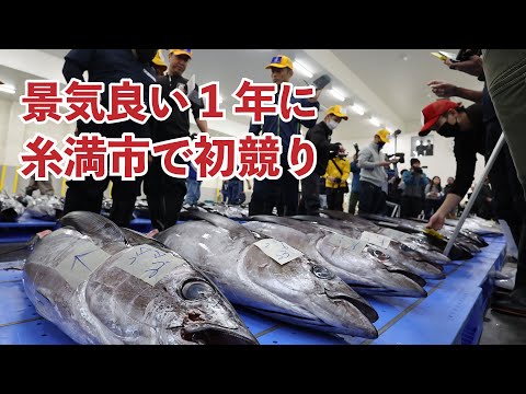 初競りのメバチマグロに1キロ･1万5555円 糸満・沖縄