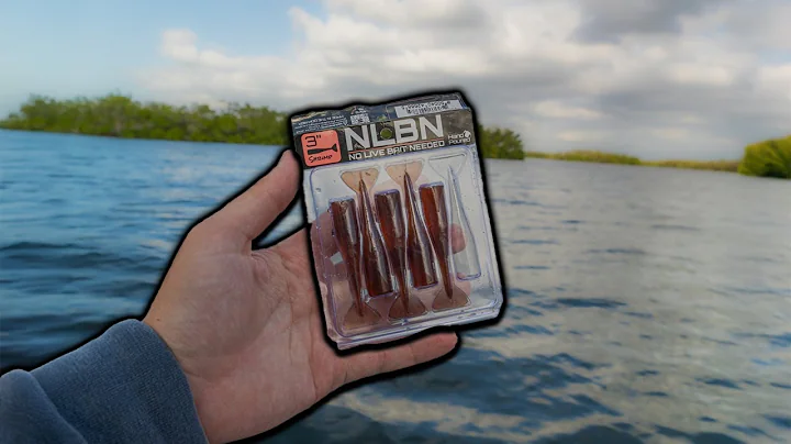 Fishing with the NEW NLBN SHRIMP! - Florida Fishing