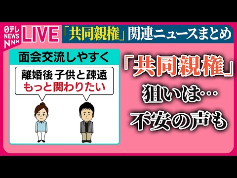 【共同親権まとめ】「共同親権」導入へ “虐待リスクの親に親権認めず” 法整備を求める など ニュースまとめライブ（日テレNEWS LIVE）