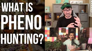 The Basics of Pheno Hunting Plants with Brad from RAW Genetics | How to Pheno Hunt with Home Grow TV