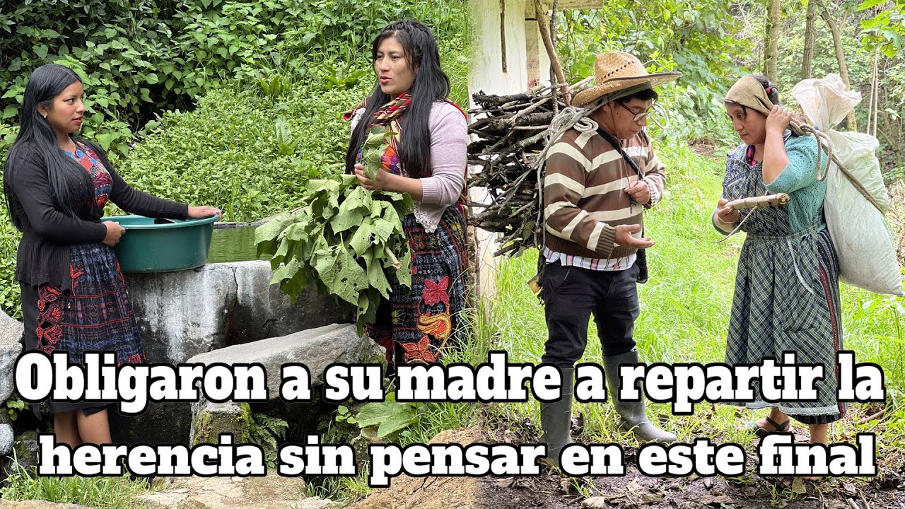Obligaron a su madre a repartir la herencia sin pensar en este final//REFLEXION