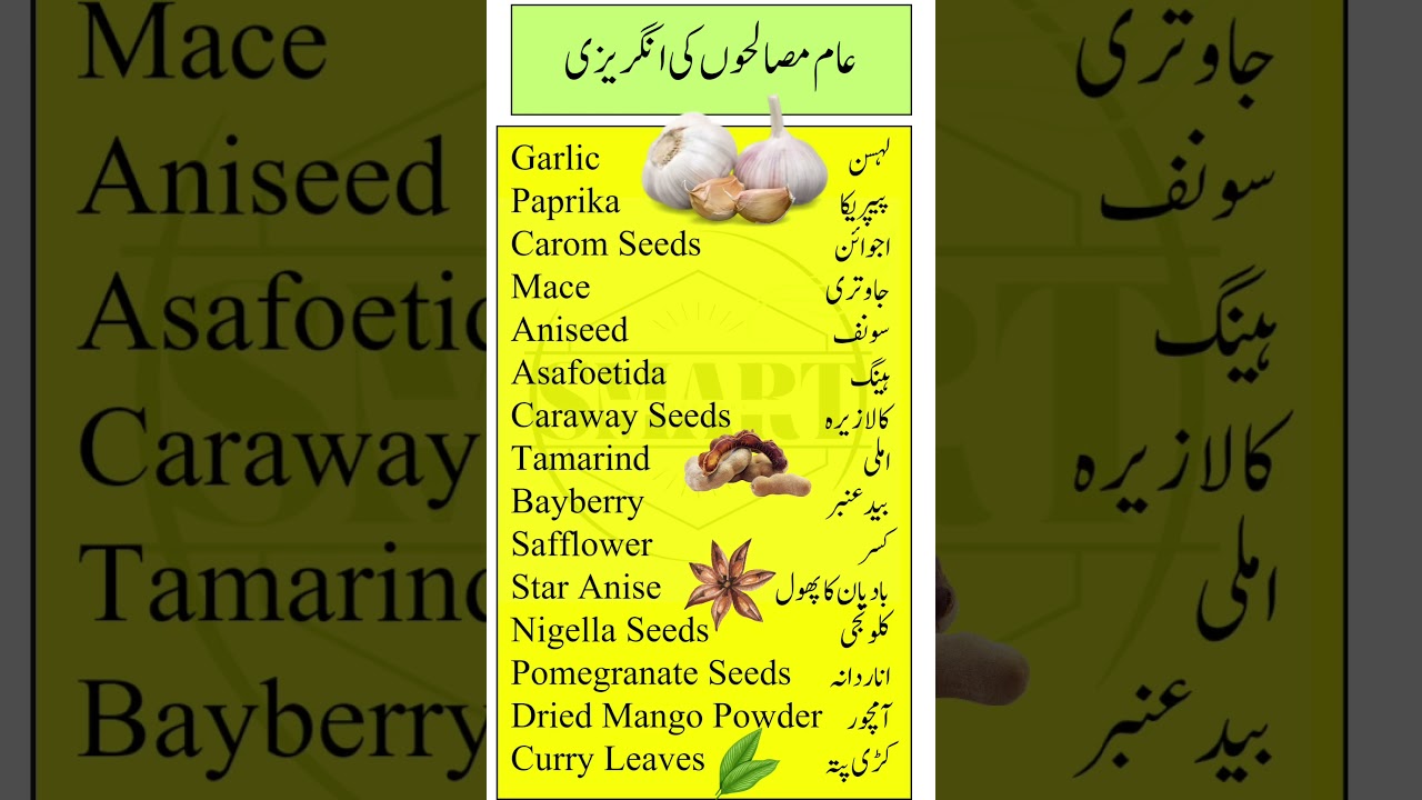 Top Common Spices for Cooking with Urdu Meaning | Kitchen Spices Vocabulary | Part 2