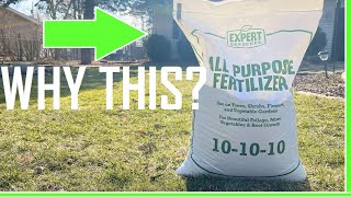 1st Spring Fertilizer - Why I chose this 10 Granular Fertilizer Expert Gardener Fertilizer