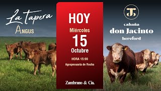 Remate Cabaña La Tapera Don Jacinto Agropecuaria De Rocha