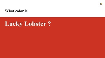 Lucky Lobster color #cc3322 hex color - Red color - Cool color cc3322