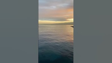 قال الله تعالى في حق المسيح: { فَنَفَخْنَا فِيهِ مِنْ رُوحِنَا } [التحريم الآية/12] #محمد_الأخرس