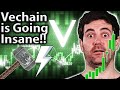 Vechain: Why VET is SMASHING IT & What Next?! ⚒