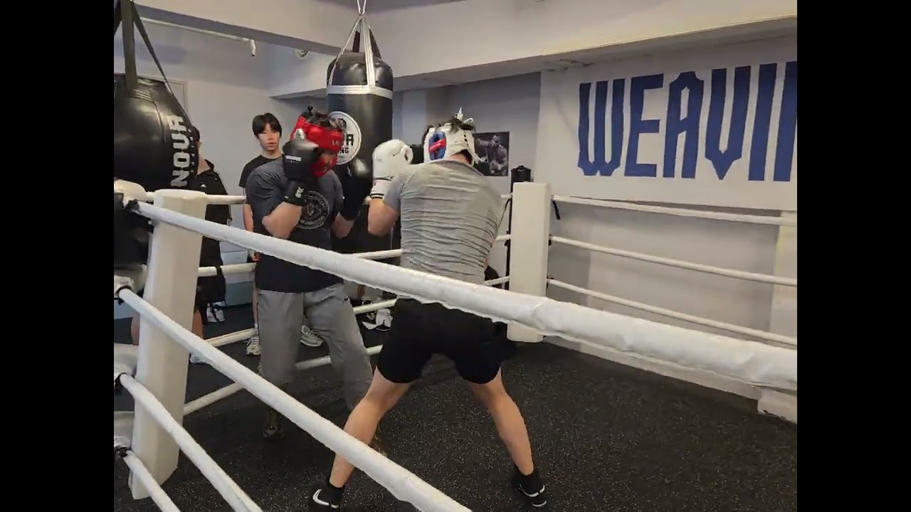 엘리트 출신 김관장 vs 생활복싱 종범 회원님 #위빙복싱클럽#종암동복싱#월곡복싱#고려대복싱 #운동