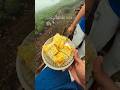 Munnar Is Hot! Don't Go #munnar #mustwatch #couplevideo #travel #viralvideos #viralreels #viral #tb