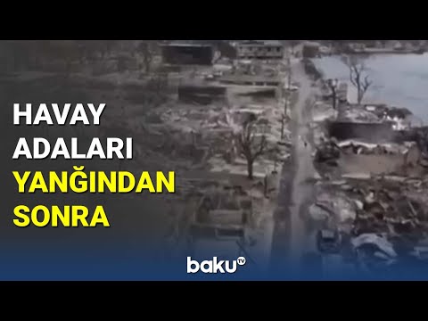 Video: Mauidə evkalipt ağacları haradadır?