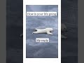 Life so far... #funny #sad #shorts #reels