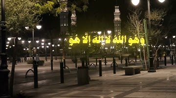 تلاوة قصيرة من سورة القصص بصوت الشيخ محمد أيوب | تلاوة خاشعة