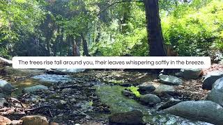 Escape to the Forest | Relaxing Nature Visualization & Guided Meditation for Calm & Clarity