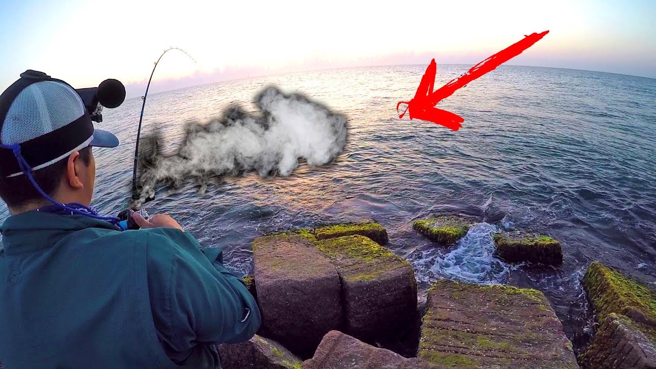 Kingfish SMOKES TINY Bass Reel Jetty Fishing YouTube