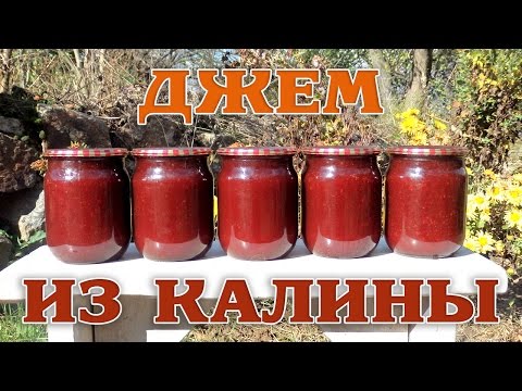 Video: 5 Rezepte Für Wintervorbereitungen Mit Viburnum