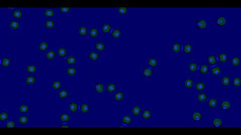 Cellular Automata - Slackermanz