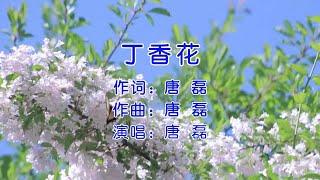 唐磊这首《丁香花》唱的好听极了！听完不禁想起了心里的那个人