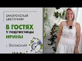 В гостях у Ирины, г. Волжский. Фиалки, эписции, бегонии и много другой красоты.