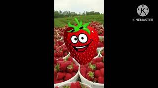 Preview 2 Ferhogs Stuff V73 (My Version)