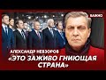 Невзоров о вонючем скунсе Путине и 60 миллионах тупых алкоголиков