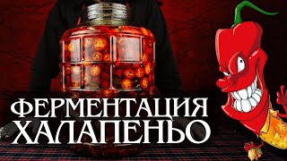 Ферментированный соус из перца Халапеньо. Пальчики оближешь!