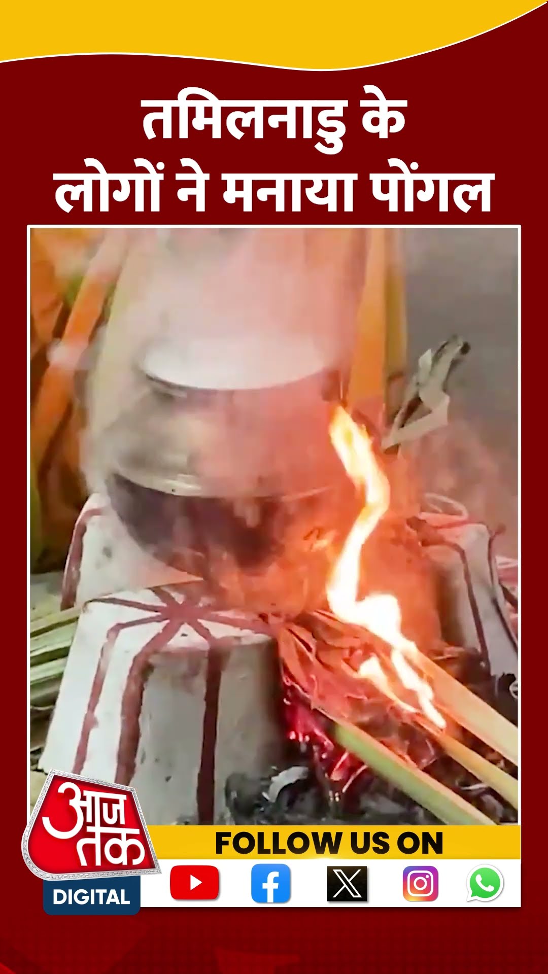 Tamil Nadu के लोगों ने मनाया Pongal | #shorts #shortsviral