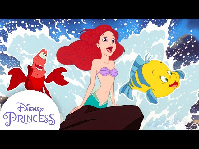Best of Ariel u0026 Her Animal Friends | The Little Mermaid | Disney Princess class=