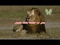 شعر عراقي حزين حلات واتساب