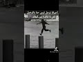 لفلي حشيش